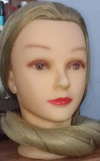 سرمانکن شنیون