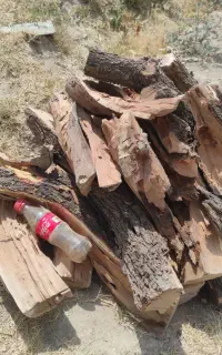 هیزم چوب بادام