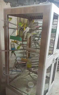 قفس پرنده