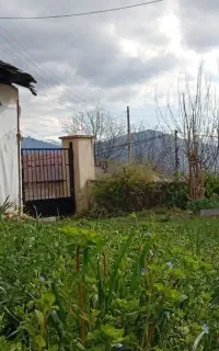 سفر به قلبِ ابر و مه‌ تور یک‌روزه منطقه کجور