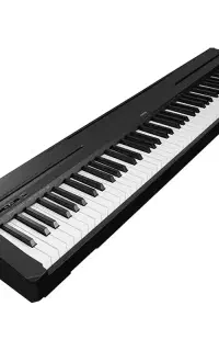 YAMAHA P-45B