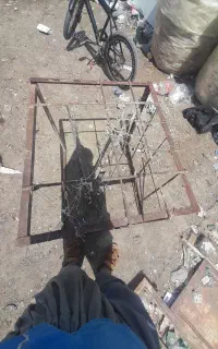 قفس پرنده
