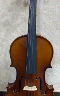 ویولن