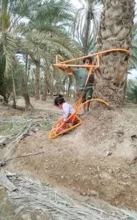 اجاره بالابر خرما