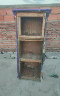 جفتکن کبوتر
