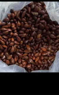 فروش بادام شور شیرین شده