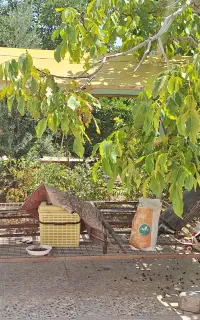 آلاچیق تمام آهنی برای باغ ویلا و...
