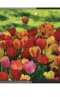 ال ای دی سام 32 اینج