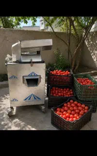 آبگیری گوجه وانگور