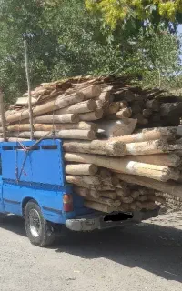 خرید و برش همه نوع چوب تر‌،خشک‌تیر