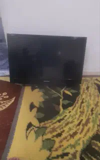 تلویزیون