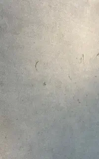 موکت اداری