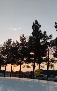 صندلی پیدا شده