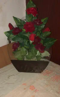 دو عدد گل
