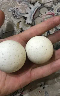 سنگ الماس آسیاب قیمتی