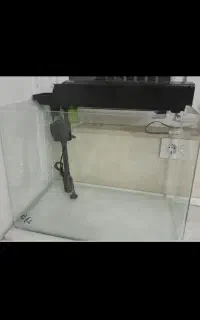 آکواریوم شیشه خم