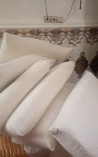 بالشت