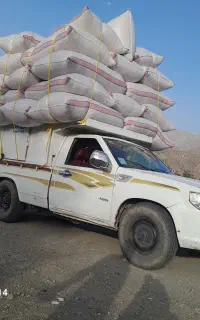 کاه گندم درجه یک