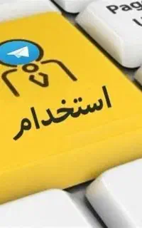 نیرو خانم و آقا