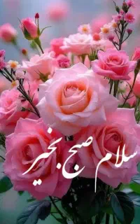 سیم کارت ۰۹۱۲۶۲۱۸۴۸۶