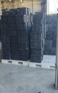 خرید سبد ضایعات
