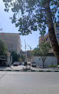 پیک موتوری برای فسفود