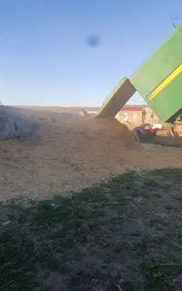 کاه سفید جو‌ و گندم