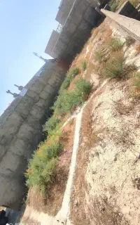 زمین فروشی