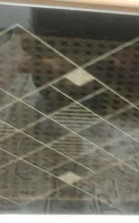 دوعدد هود