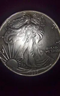 سکه نقره ۱ دلاری 1993