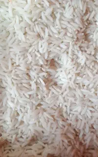 برنج هاشمی الک کارخانه 450