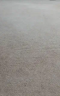 موکت