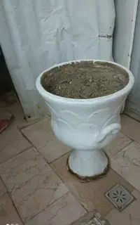 گلدان بزرگ سالم
