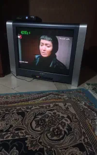 تلویزیون