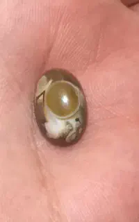 مهره عتیقه باباقوری سلطانی