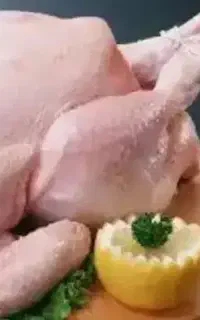 گوشت برای سگ و گربه
