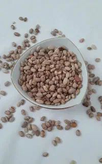 لوبیا چیتی محلی