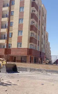 مالکین فیش