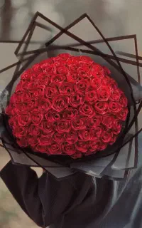 ۵۰ شاخه گل روبانی