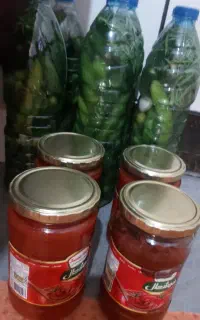 رب گوجه وخیارشور