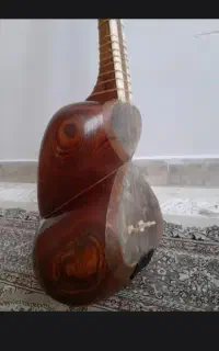 تار حرفه ای
