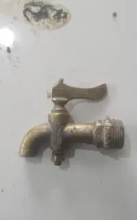 شیر برنجی