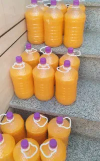 شامپو