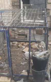 قفس مرغ یاکفتر