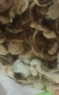 پشم شسته شده گوسفند