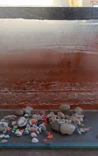 آکواریوم