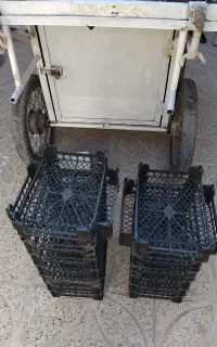 سبد