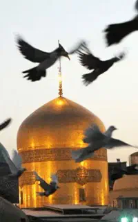 تور زیارتی مشهد مقدس ویژه ایام تابستان