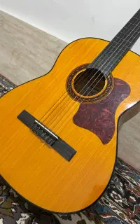گیتار هافنر