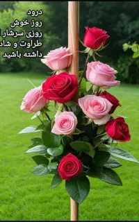 فروش سیم کارت